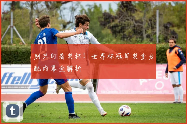 别只盯着奖杯！世界杯冠军奖金分配内幕全解析