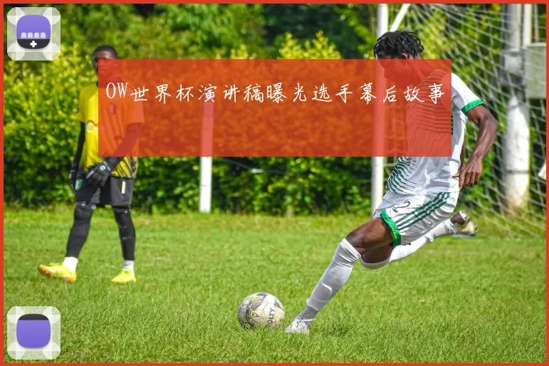 OW世界杯演讲稿曝光选手幕后故事