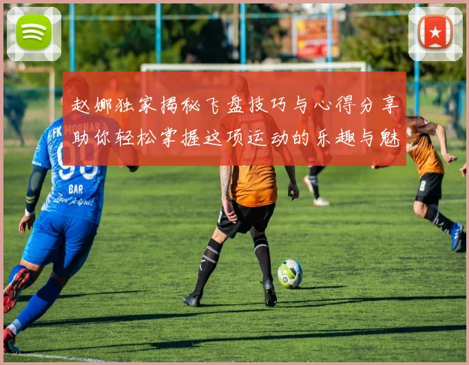 赵娜独家揭秘飞盘技巧与心得分享助你轻松掌握这项运动的乐趣与魅力
